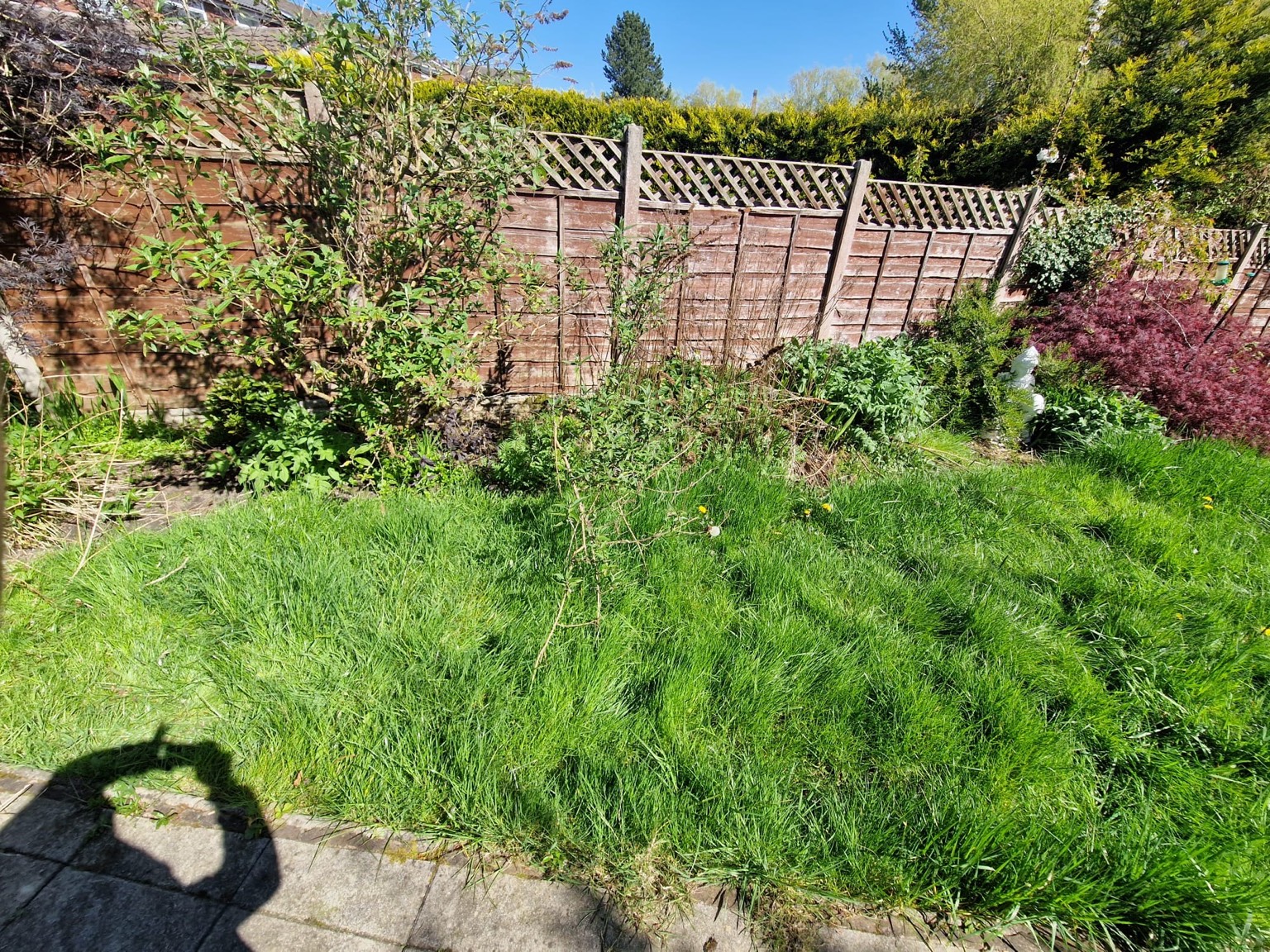 Green-light Gardens garden work